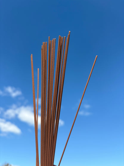The Incense of Spring's First Whisper in Winter 雪中春信