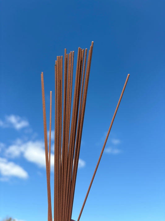 The Incense of Spring's First Whisper in Winter 雪中春信