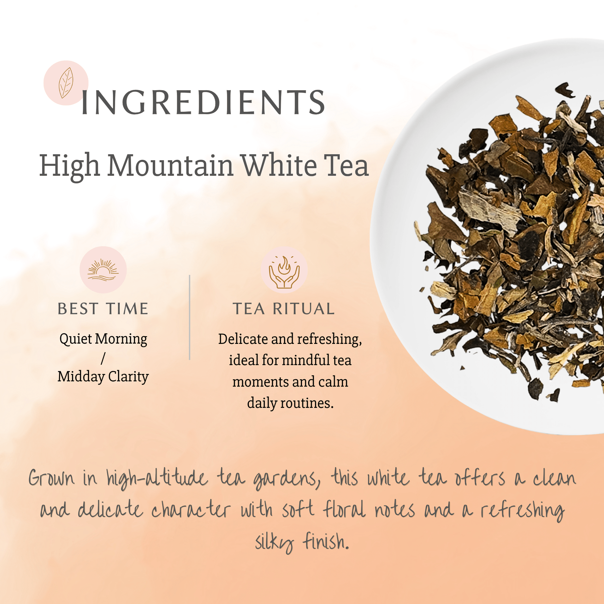 High Mountain White Tea - Oriental Lotus Info