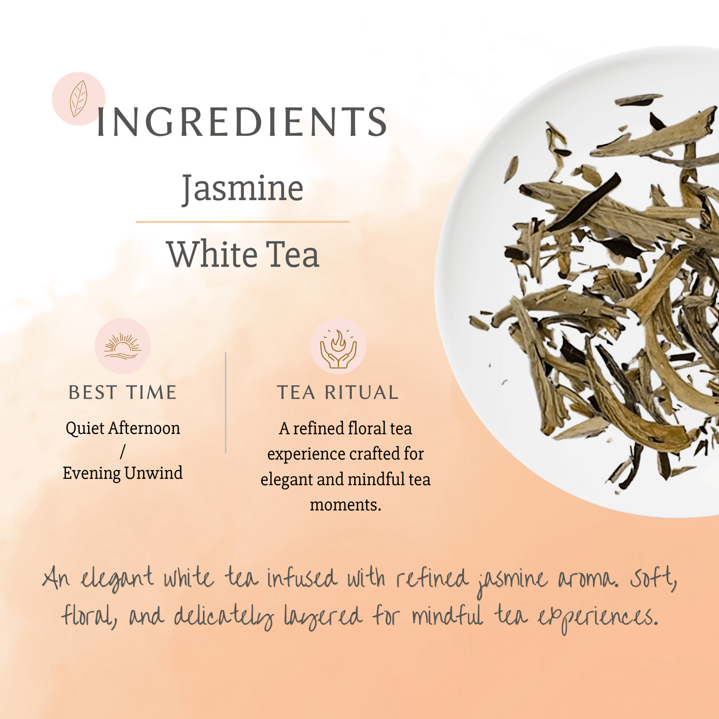 Premium Jasmine White Tea bags with fresh jasmine blossoms information
