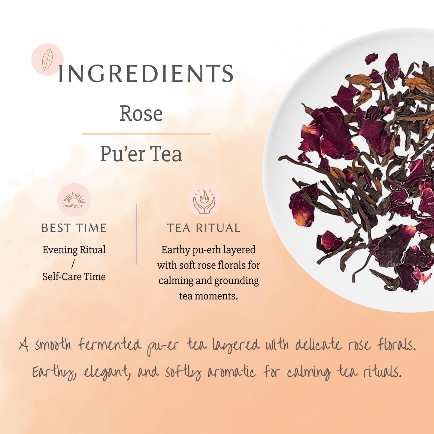 Rose Fermented Pu'er Tea bags brewing info