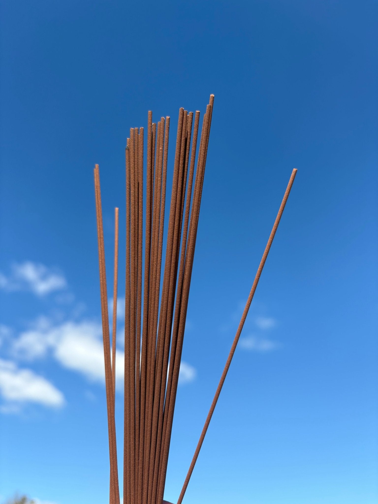 The Incense of Spring's First Whisper in Winter 雪中春信 - Oriental Lotus